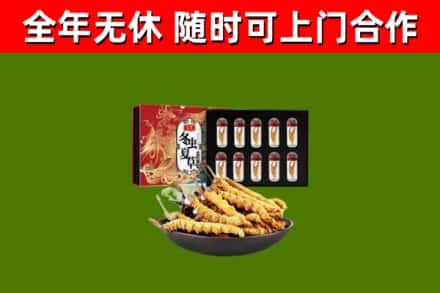 雨花台回收冬虫夏草价格